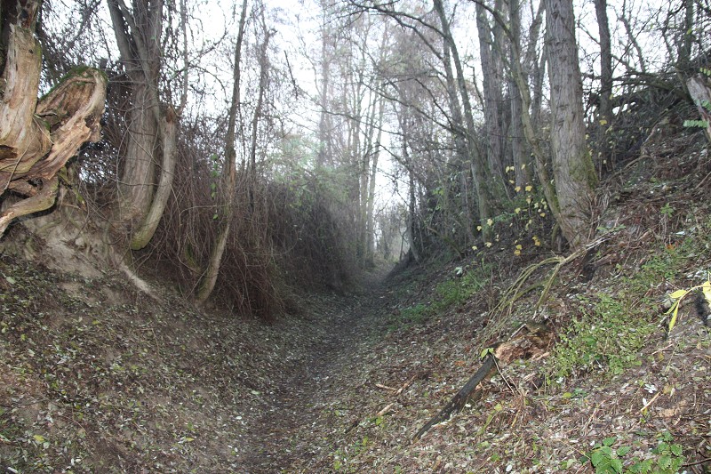 Svatomartinské slavnosti v Bzenci 14.11.2009