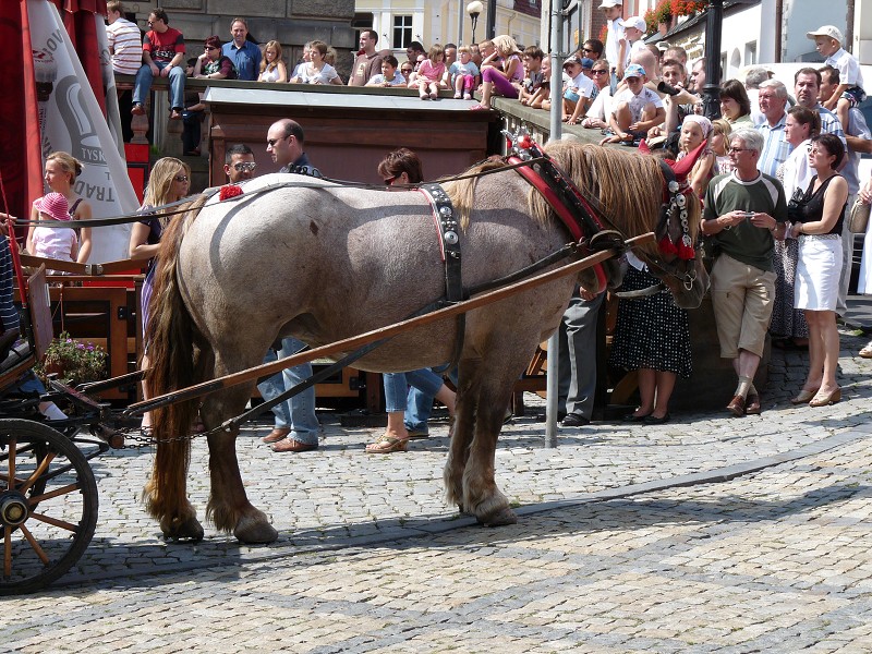 Klodzko 2009